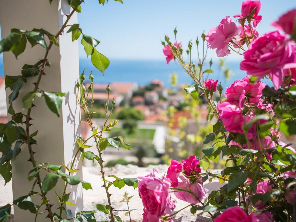 Apartment Faros Dubrovnik Exterior foto